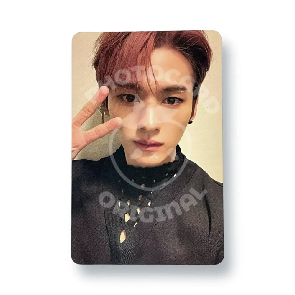 Photocard Stray Kids | Lee Know | Oddinary