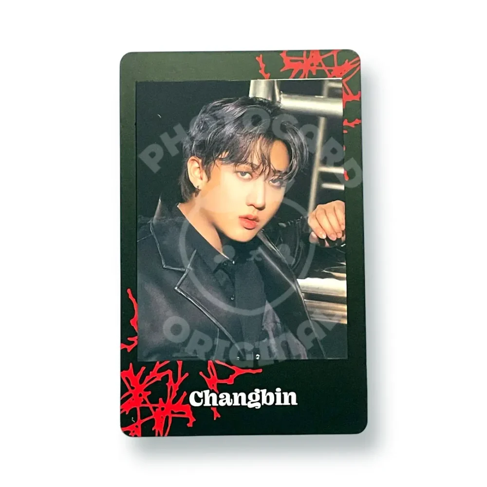 Photocard Stray Kids | Changbin | Stray Kids World Tour dominATE JAPAN