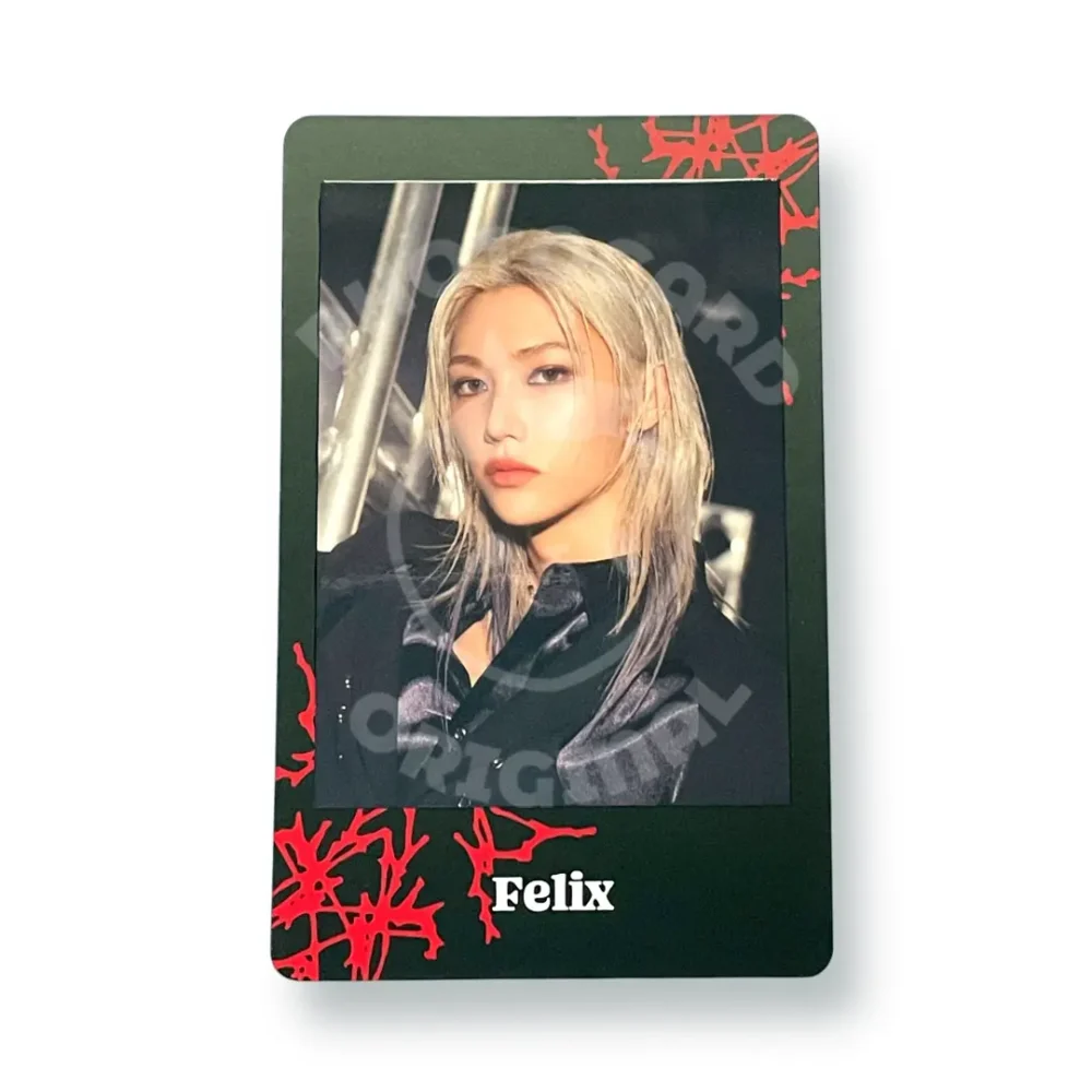 Photocard Stray Kids | Felix | Stray Kids World Tour dominATE JAPAN