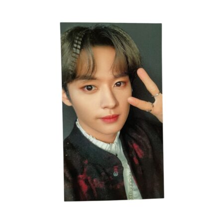 Photocard Stray Kids | Lee Know | The Sound Standard