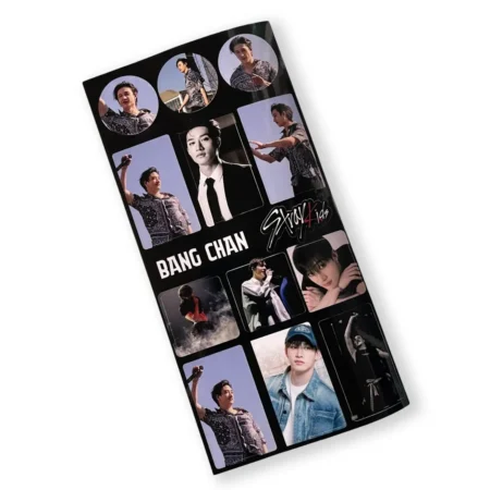 Hoja de Stickers Stray Kids | Bang Chan