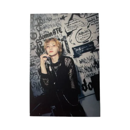 Post Card Stray Kids dominATE Latam VIP | I. N