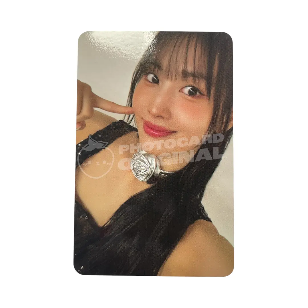 Photocard Twice | Momo | Strategy Step 2 ver.