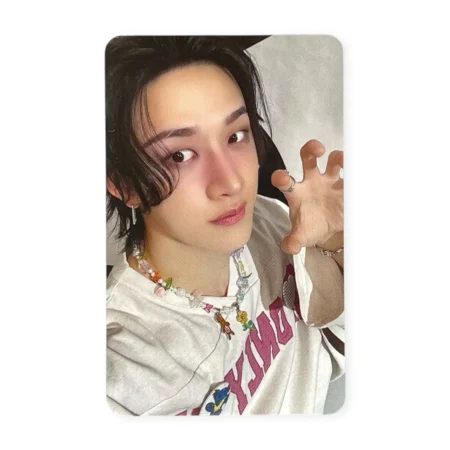 Photocard Stray Kids | Bang Chan | World Tour dominATE : celebrATE REWARD