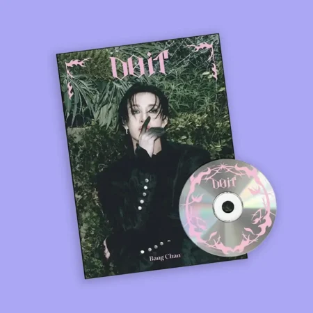 Stray Kids - Do It | Accordion Ver. Bang Chan
