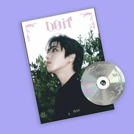 Stray Kids - Do It | Accordion Ver. Han