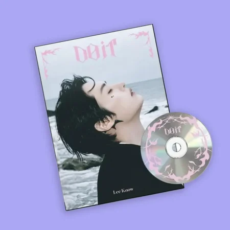 Stray Kids - Do It | Accordion Ver. Lee Know