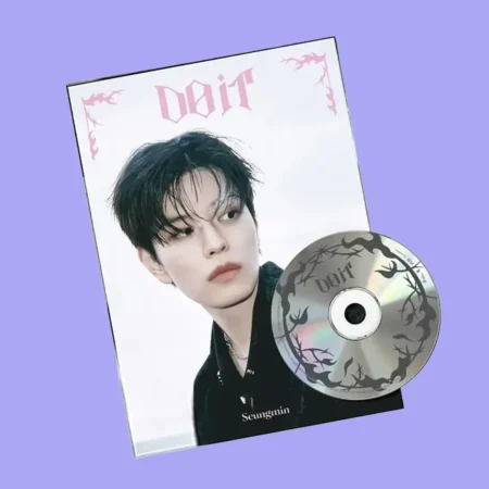 Stray Kids - Do It | Accordion Ver. Seungmin