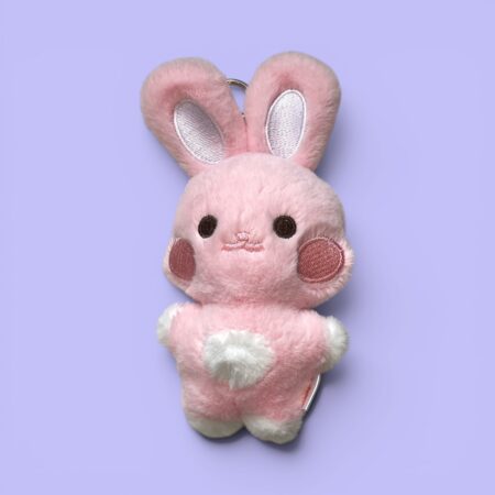 Peluche Ateez | Tiny Aniteez | DDEONGbyeoli