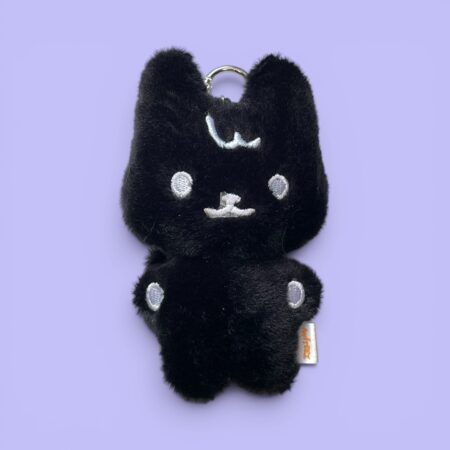 Peluche Ateez | Tiny Aniteez | WOOYOnyang