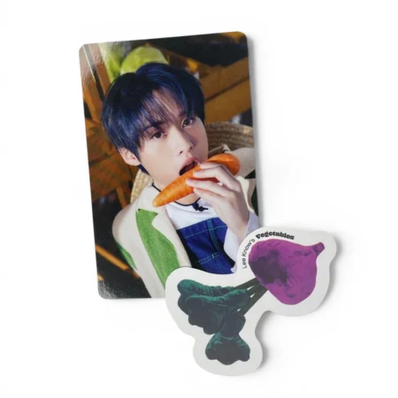 Photocard Stray Kids | Lee Know | 2023 Season’s Greetings Mini World