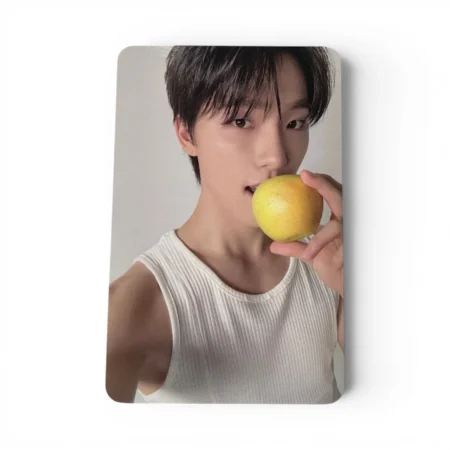 Photocard Seventeen | Dino | 17 is Right Here Dear Ver