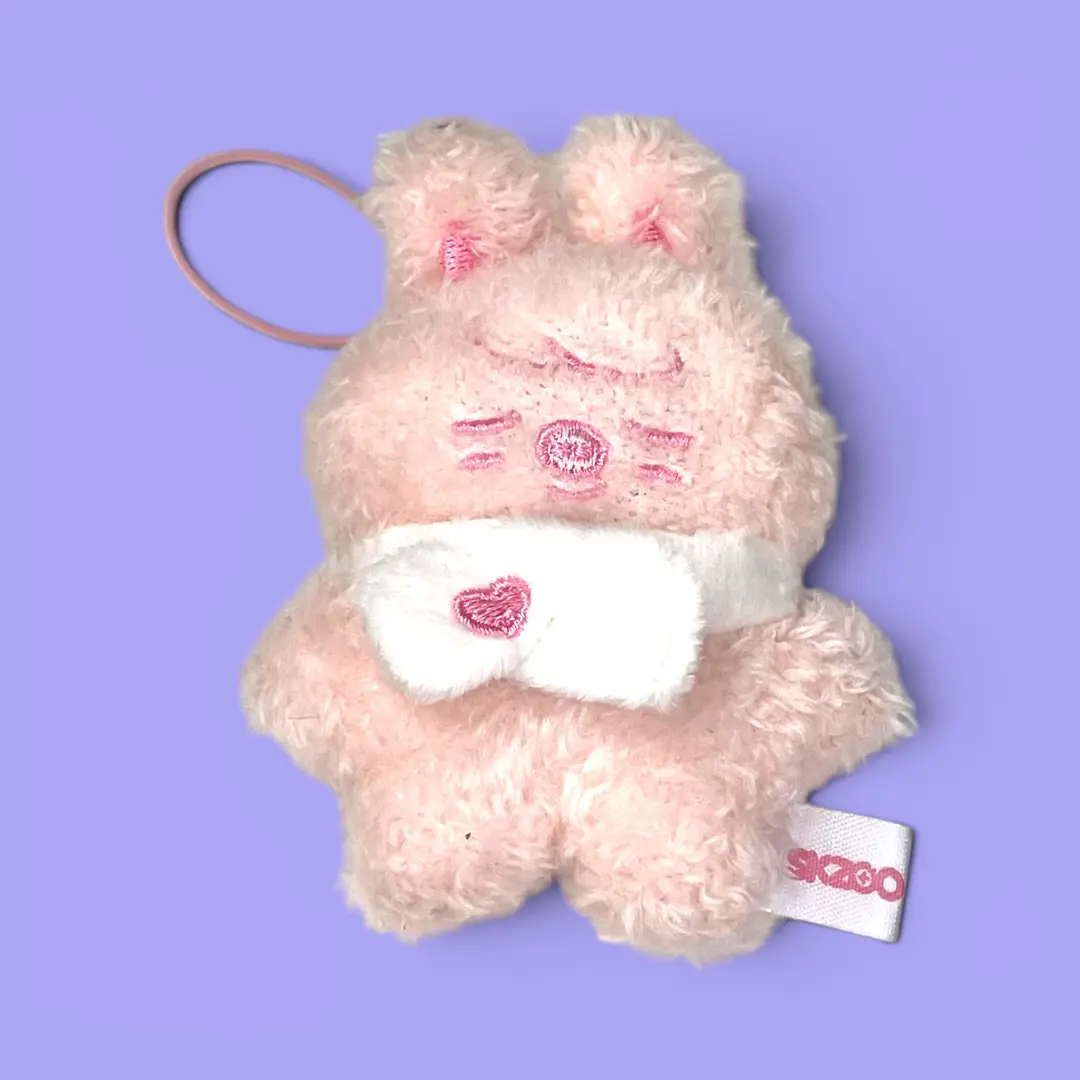 Peluche Stray Kids | Skzoo Micro Stay in Our Little House Sleeping Ver | Dwaekki