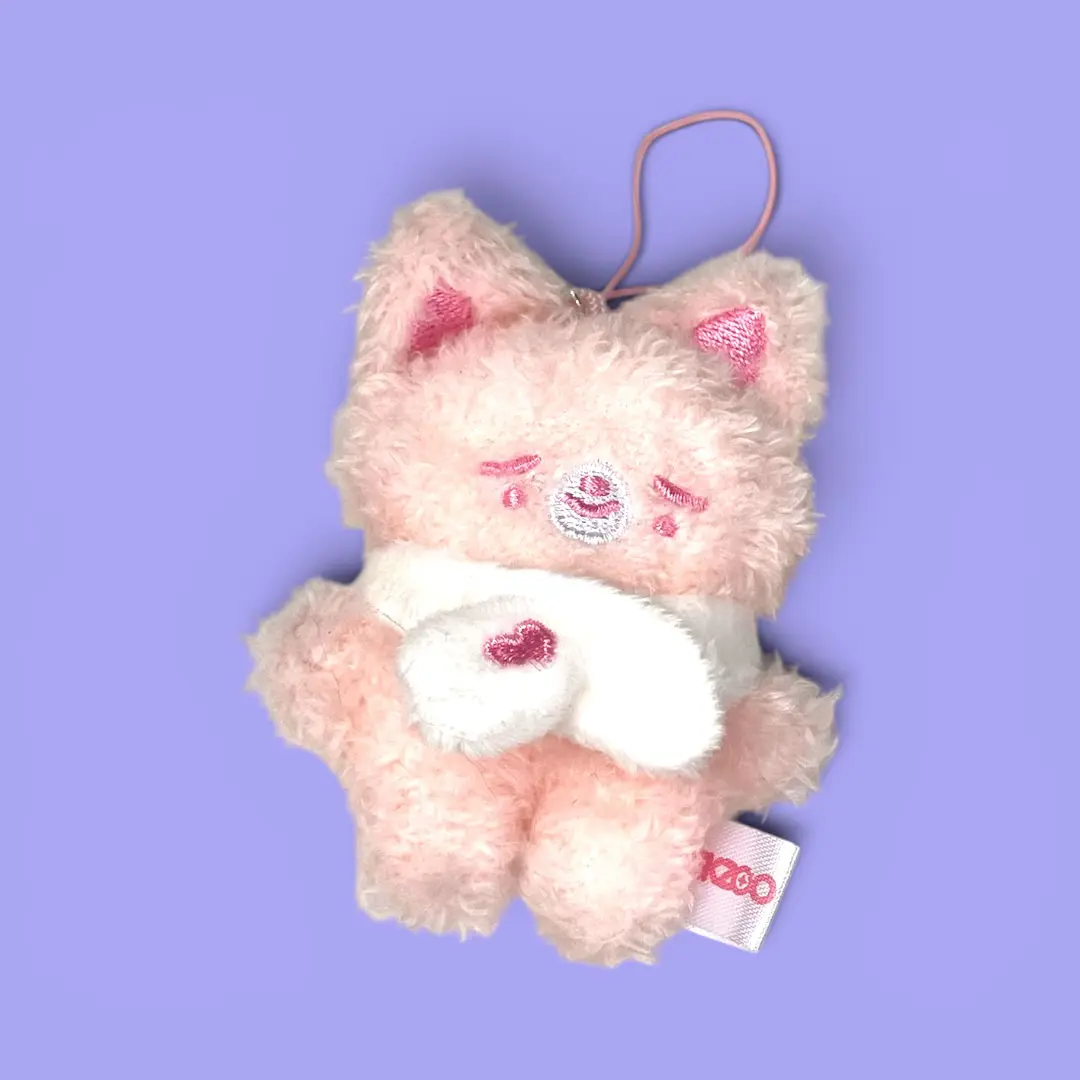 Peluche Stray Kids | Skzoo Micro Stay in Our Little House Sleeping Ver | FoxINy