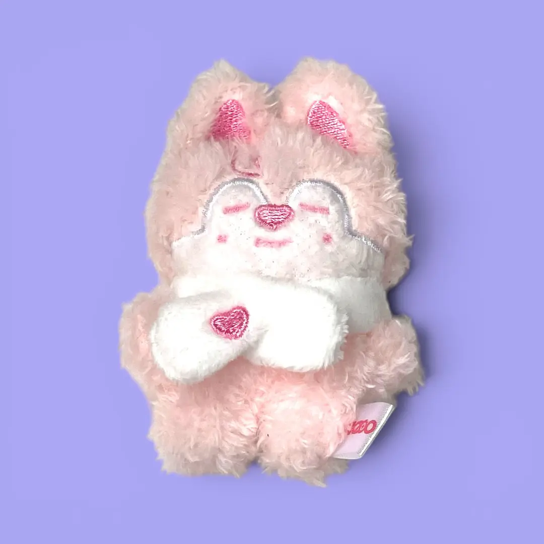 Peluche Stray Kids | Skzoo Micro Stay in Our Little House Sleeping Ver | Wolf Chan