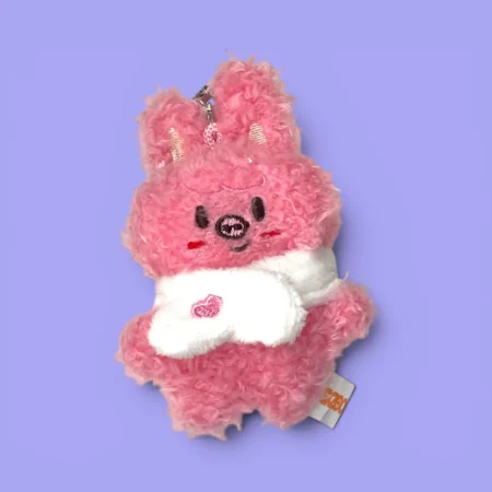 Peluche Stray Kids | Skzoo Micro Stay in Our Little House | Dwaekki