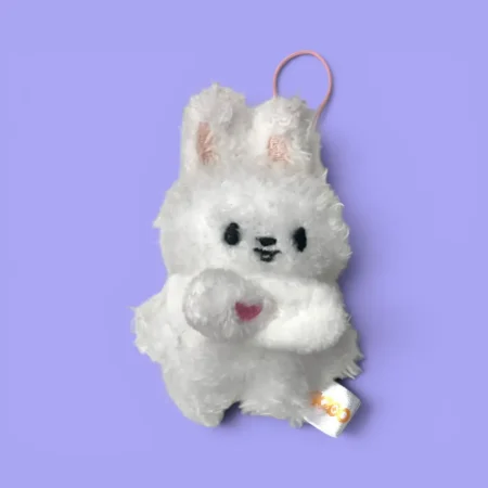 Peluche Stray Kids | Skzoo Micro Stay in Our Little House | Leebit