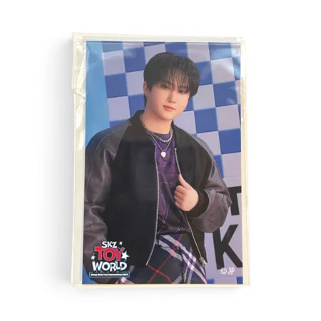 Photocard Stray Kids | Changbin | Toy World Sticker Official